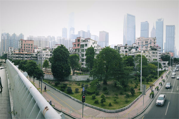 冼村为什么叫土豪村?