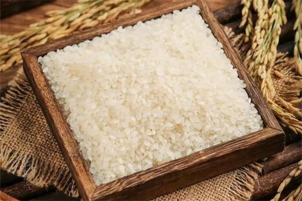 大米生虫了怎么办?