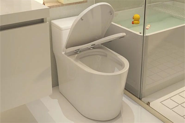 抽水马桶漏水怎么办?