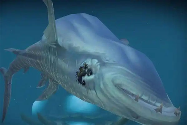 奈瑟匹拉任务怎么做?