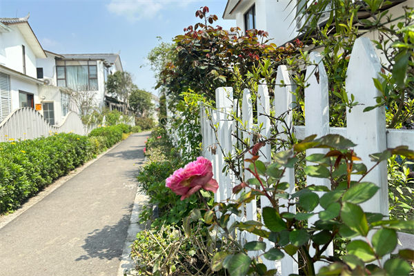 家里有蚂蚁怎么办?