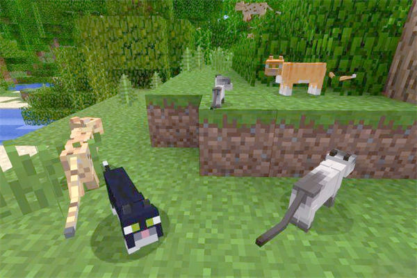 我的世界豹猫怎么驯服?